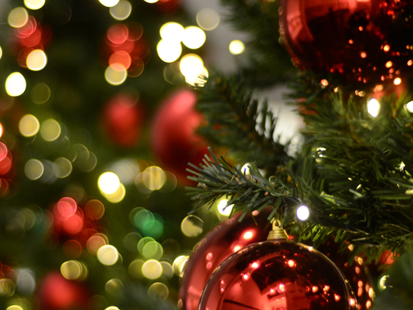 自動演出ライトアップ